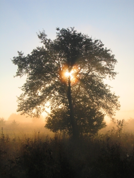 Koniec